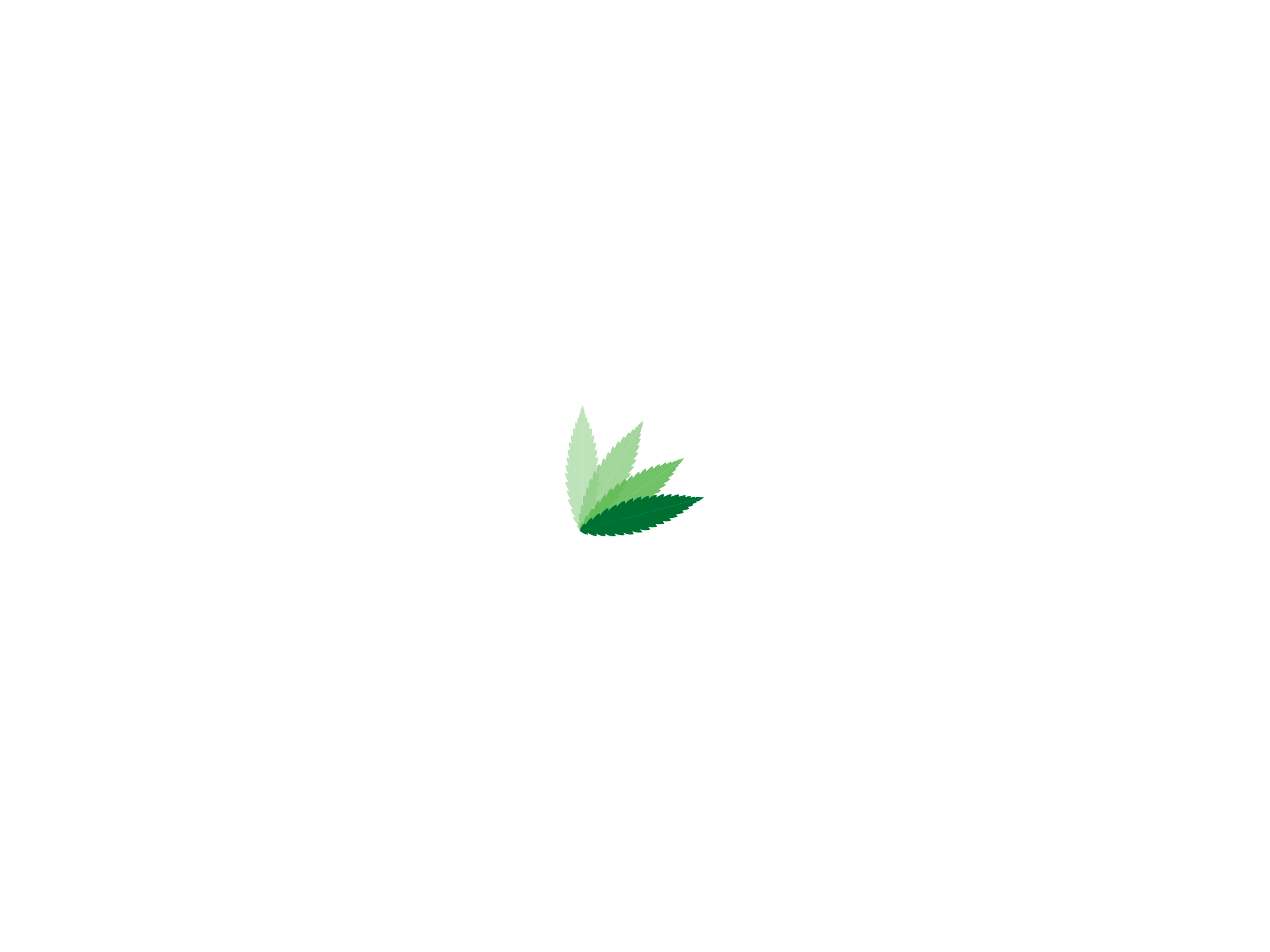 Muntanya - Diseño de marca - Agencia Logos